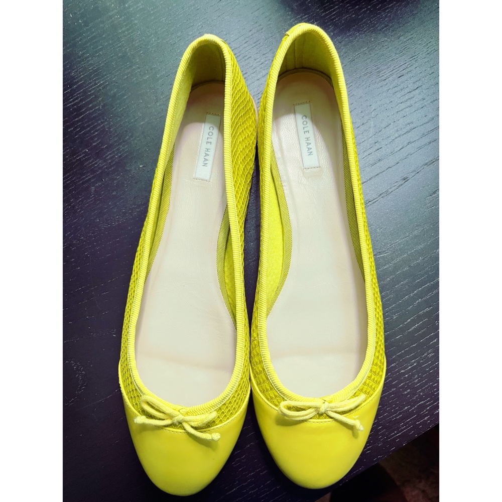 Cole Haan Snake Ballet Flats